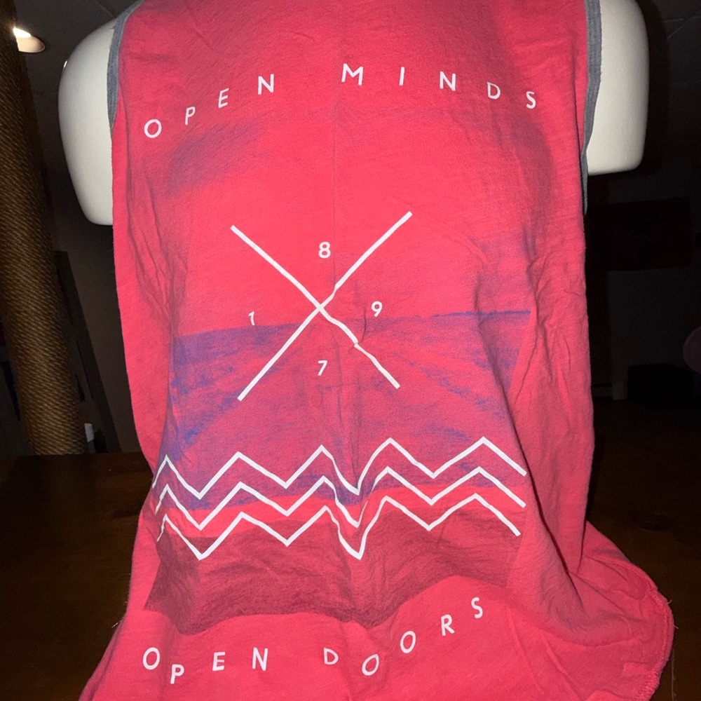 Aeropostale Red Graphic Tee